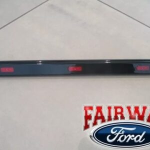 17 thru 25 Super Duty OEM Ford Dually DRW Center Rear Red Marker Lamp